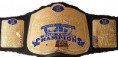 WWE Tag Team Champions - 